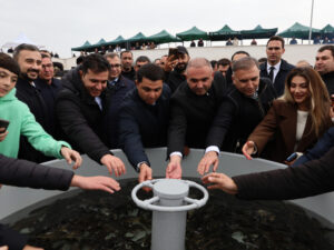 image-17649452161809433924_1200x630