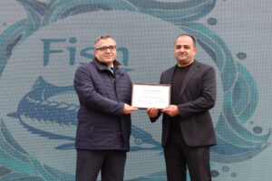 image-17649452162586218291_1200x630