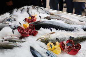 image-17649452162805015153_1200x630