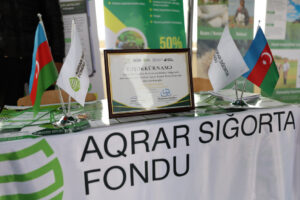 image-17649452163064737805_1200x630