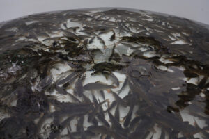 image-17649452163366420842_1200x630