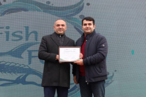 image-17649452165531053178_1200x630