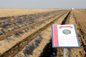 image-17650058404375860061_1200x630