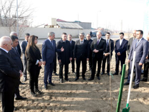 image-17650058409888992_1200x630