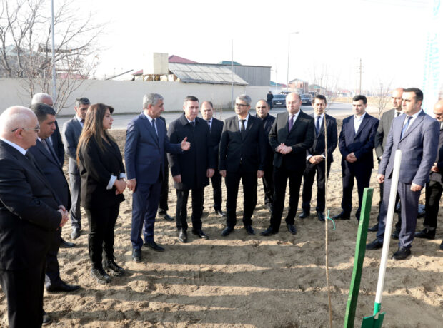 image-17650058409888992_1200x630