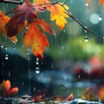 image-17650972311447936754_1200x630