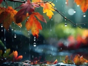 image-17650972311447936754_1200x630