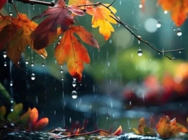 image-17650972311447936754_1200x630