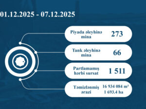 image-1765180493239461858_1200x630