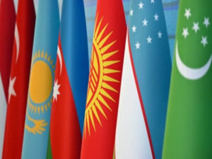 image-17651837571524525854_1200x630