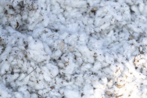 image-17651851691292235253_1200x630