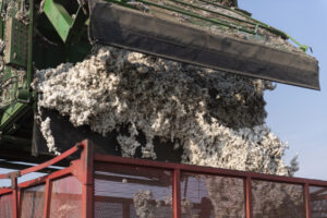 image-17651851691519416088_1200x630