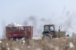 image-1765185169165526649_1200x630