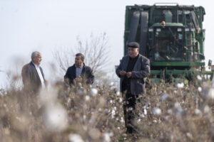 image-17651851693673425055_1200x630