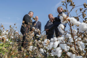 image-17651851695299964872_1200x630