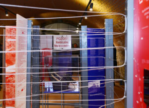 image-17652163612487628194_1200x630