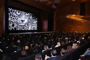 image-1765289597477042133_1200x630