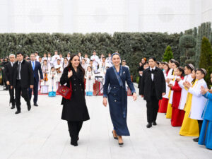 image-17653002956113128315_1200x630