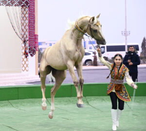 image-17653022791518620896_1200x630