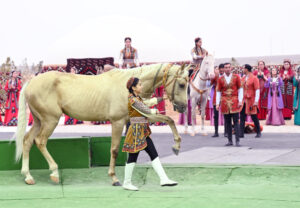 image-17653022794280440634_1200x630