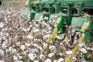 image-1765441773158684106_1200x630