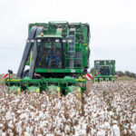 image-17654417732909861908_1200x630