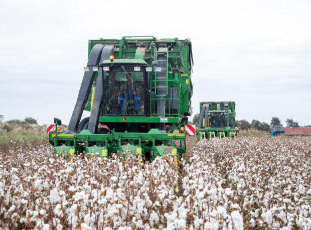 image-17654417732909861908_1200x630