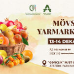 image-17654477603801554299_1200x630