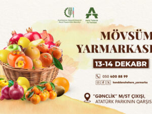 image-17654477603801554299_1200x630