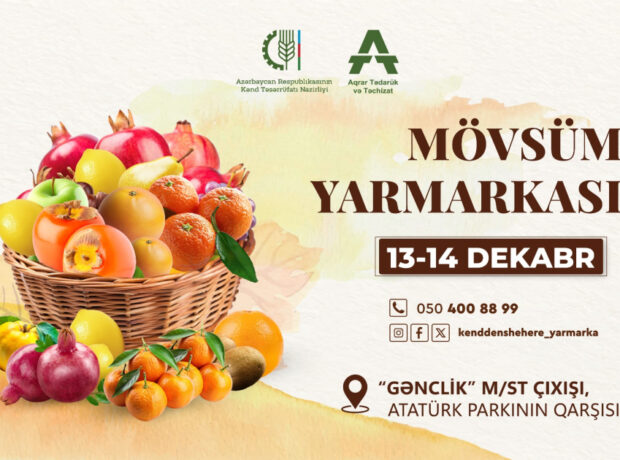 image-17654477603801554299_1200x630