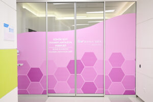 image-17654687231923419047_1200x630