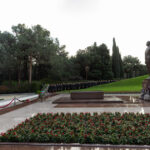 image-17655254093709065374_1200x630