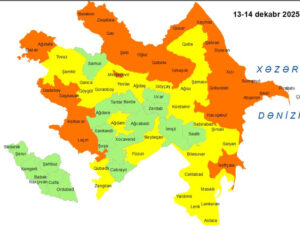 image-17655496983322810470_1200x630