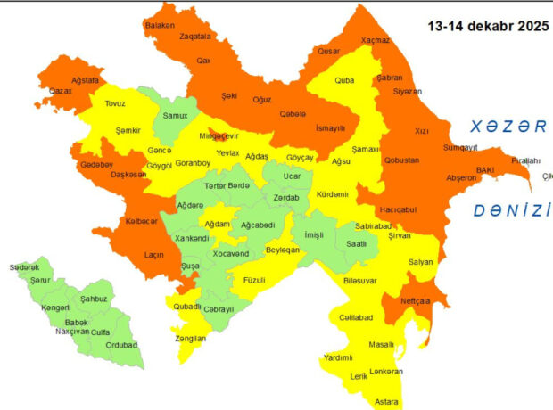 image-17655496983322810470_1200x630