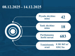 image-176579055261726913_1200x630