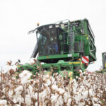 image-17658046406043122120_1200x630