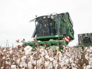 image-17658046406043122120_1200x630