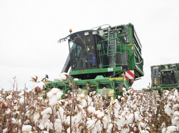 image-17658046406043122120_1200x630