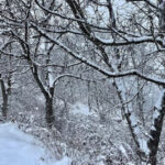 image-17658747286210210481_1200x630