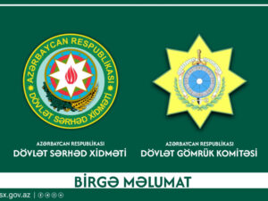 image-17659569211287561123_1200x630