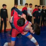 image-creator-gd-jpeg-v1-0-using-ijg-jpeg-v62-quality-100