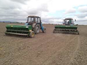 image-17659781853467324793_1200x630