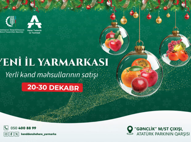 image-17661237142056465436_1200x630