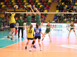 image-17662129142062412678_1200x630