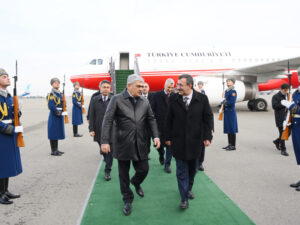 image-17663917652079630819_1200x630