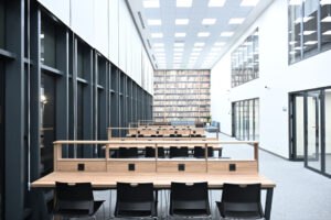 image-1766488828912525899_1200x630