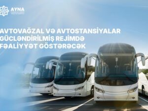 image-1766569448235539128_1200x630