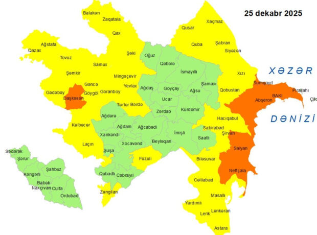 image-1766578041489261456_1200x630