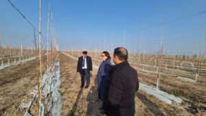 image-1766579337838214_1200x630