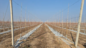 image-176657933791407772_1200x630